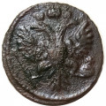 Полушка 1734 год Анна Иоанновна (1730 - 1740) - F+