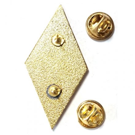 Нагрудный академический знак &quot;Об окончании медицинского ВУЗа&quot;, без смолы (цанговый зажим)