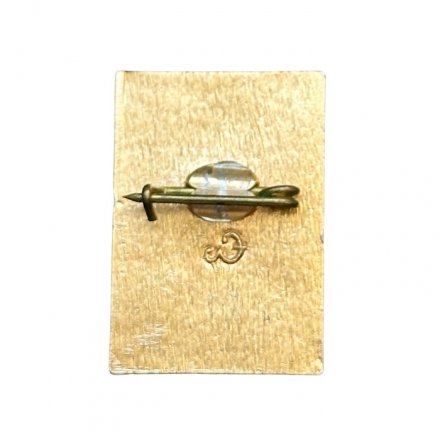 Значок СССР. Петродворец