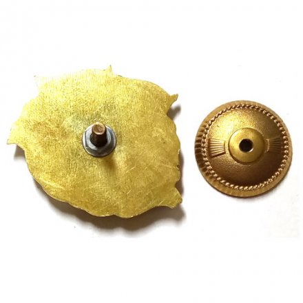 Знак 20 лет ДиПЛ, винтовой