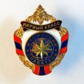 Знак МЧС России. Спасатель. Первый класс.