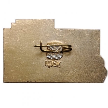 Значок Смольный