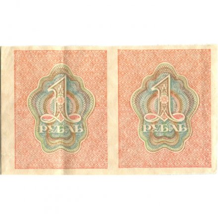 РСФСР 1 рубль 1919 год - сцепка (2 штуки) - VF