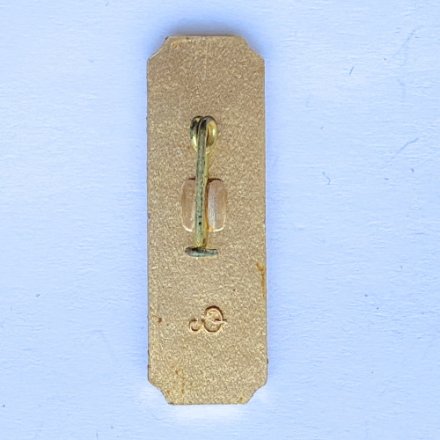 Значок. Ленинград. Фехтование 