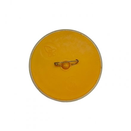 Значок Кишинев 80. XIX. МЭЭ НРБ. МРП СССР