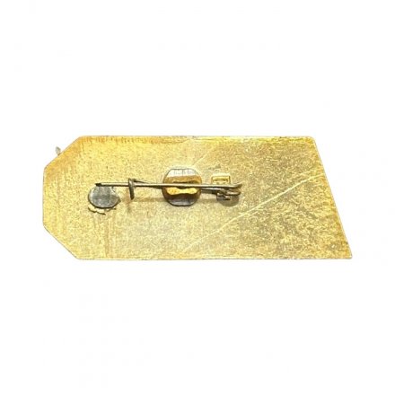 Значок Братский алюминиевый завод. AL БРАЗ. Братск (зелёный)