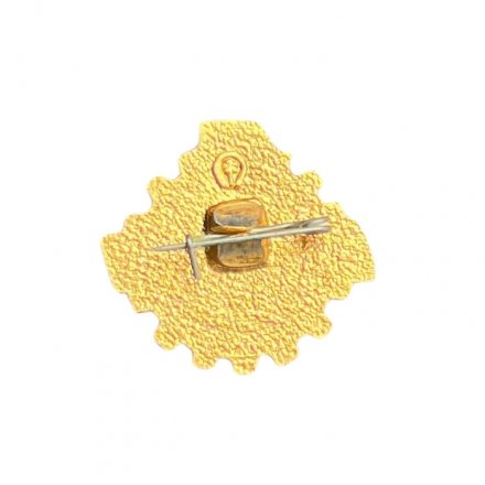 Значок ПО КПО. Стрый