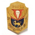 Знак 76 гв. ВДД 76-я гвардейская десантно-штурмовая дивизия Псков ВДВ