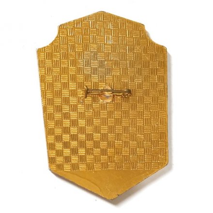 Знак 76 гв. ВДД 76-я гвардейская десантно-штурмовая дивизия Псков ВДВ