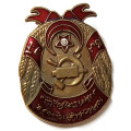 Орден труда Азербайджанской ССР (большой) копия