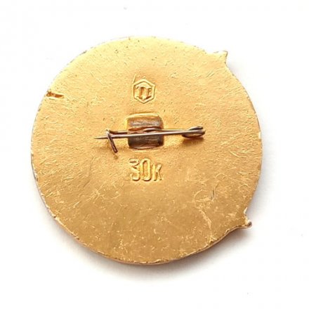 Значок СССР Интеркосмос Салют - СОЮЗ