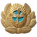 Кокарда гражданской авиации