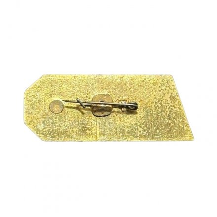 Значок Братский алюминиевый завод. AL БРАЗ. Братск (синий)