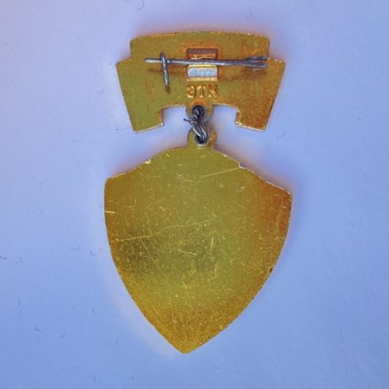 Значок. lX ВСК 1966 год