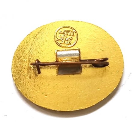 Значок Город Пушкин. Кавалерский домик (клеймо ЭТПК)