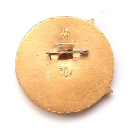 Значок СССР Интеркосмос СССР-ГДР Салют - СОЮЗ