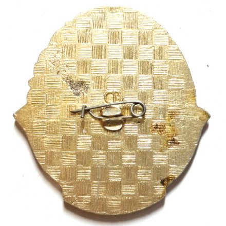 Значок Союз Донских казаков 1990 г.