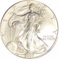 США 1 доллар 2002 год - Шагающая свобода (без отметки МД)    
