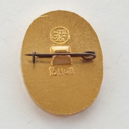 Значок &quot;Юный географ&quot;