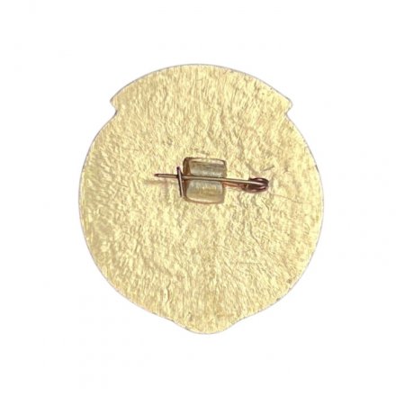 Значок КЕПС АН СССР 1915-1990 (Комиссия по изучению естественных производительных сил)