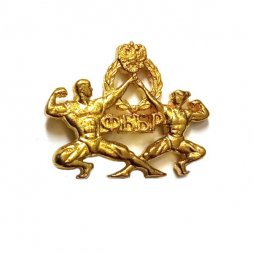 Значок ФББР. Федерация бодибилдинга России (на цанге)