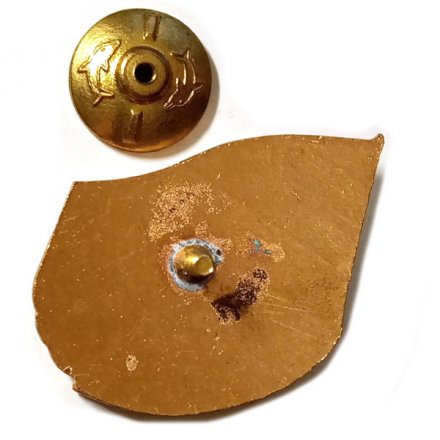 Знак Тяжелый крейсер Киев