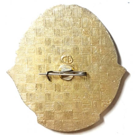 Значок Союз Донских казаков 1990 г. (шатается булавка)