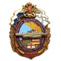 Знак Участнику морской операции по принуждению Грузии к миру август 2008.  СКР &quot;Сметливый&quot;