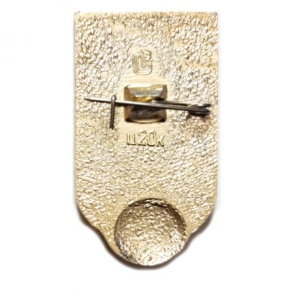 Значок &quot;ФК Динамо Киев&quot;