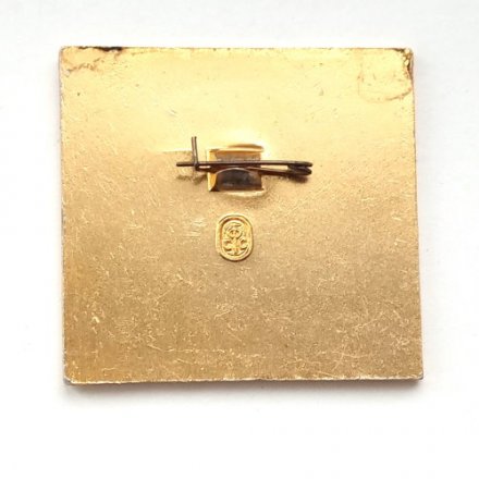 Значок Мемориальный дом-музей К.Э. Циолковского. Калуга