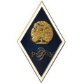 Ромб РГГУ (Российский государственный гуманитарный университет)