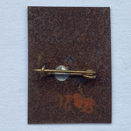 Значок. Футбол. Динамо Киев 1954. Кубок Чемпионов