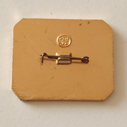 Значок Союзтеплострой 50 лет 1928-1978