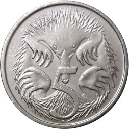 Австралия 5 центов 2008 год - Ехидна