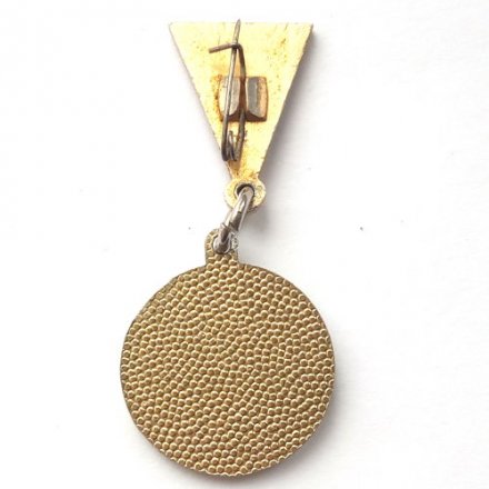 Значок Комсомол. ГДР. FDJ