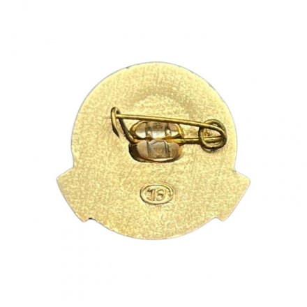 Значок Главзапстрой. Ленинград