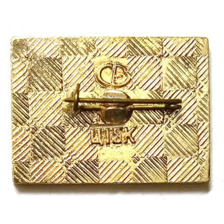 Значок Волжский 20 лет