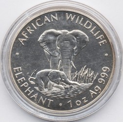 Замбия 5000 квача 1999 год - Слоны