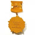 Знак &quot;Ветеран Волховского фронта - участник битвы за Ленинград 1941-1945 гг.&quot; (копия)