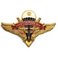 Знак классности ВДВ. Никто кроме нас