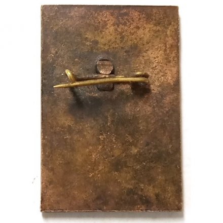 Значок 50 лет ЦНИИТС