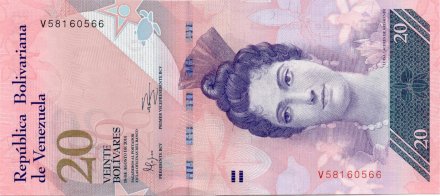 Венесуэла 20 боливаров 2014 год - Луиза Касерес де Арисменди. Черепахи