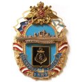 Знак За службу России в ВМФ. СКР &quot;Сметливый&quot;