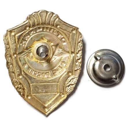 Знак &quot;Отличник ВС России&quot;, легкий (копия)