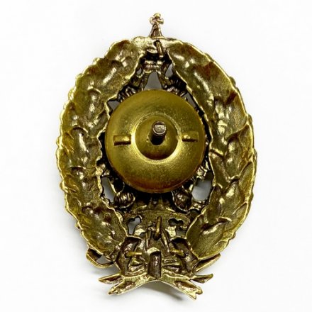 Знак &quot;Военный институт физической культуры&quot;