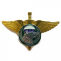 Спецназ ВДВ &quot;Волк&quot;