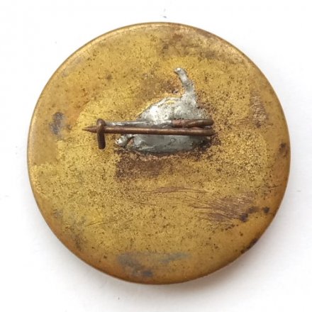 Значок Космос. Салют, Союз-17