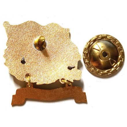 Знак За дальний поход. Фрегат &quot;Адмирал Горшков&quot;