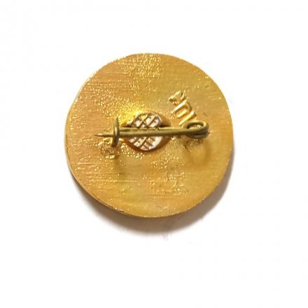 Значок Воин Киевской Руси