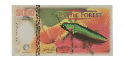 Атлантический лес - 2000 долларов 2016 год - жук